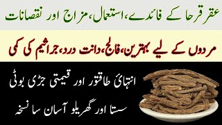 Akarkara ke fayde aur nuksan  Aqar Qarha Health Benefits And Side Effects Pellitory Root Uses urdu [upl. by Tocci]