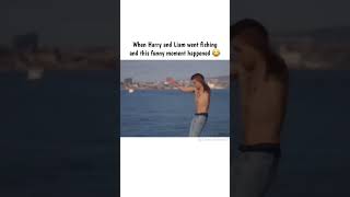 Harry and Liam Funny moment 😆 harrystyles liampayne onedirection funny short [upl. by Lebasiram]