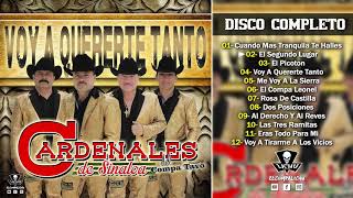 Los Cardenales De Sinaloa  Voy A Quererte Tanto 2019 DISCO COMPLETO [upl. by Novihs173]