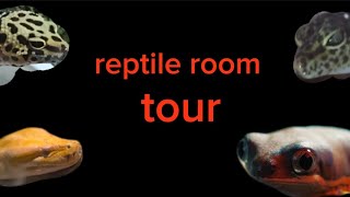 reptile room tour [upl. by Haag]