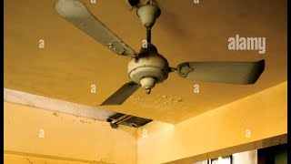 Abused Ceiling Fan  Short 2 [upl. by Nonnelg491]