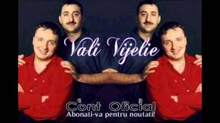 COSTI IONITA amp VALI VIJELIE amp ADRIAN MINUNE  OF OF OF MOR TOTI TIGANII OFFICIAL TRACK [upl. by Ulysses579]