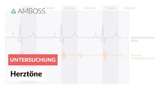 Physiologische Herztöne  AMBOSS  Video [upl. by Lali293]