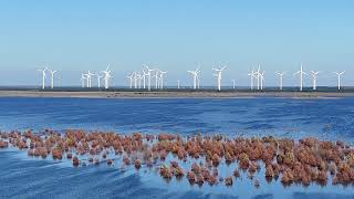 Cottbuser Ostsee super Wetter am Hafen Merzdorf 210924 [upl. by Uolymme]