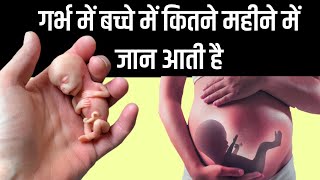 गर्भ के अंदर बच्चे में कितने महीने में जान आती है Fetal growth in the womb [upl. by Lorelle103]