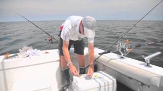 Italian Fishing TV Tubertini  Mare  Pesca a Bolentino [upl. by Enelehs]