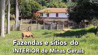 RESUMO  DAS PROPRIEDADES  SÍTIOS E FAZENDAS DE MINAS GERAIS [upl. by Nadda443]