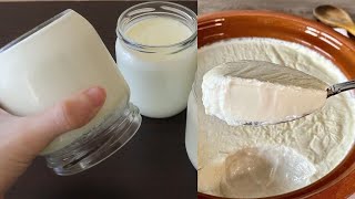 The secret of making yogurt like a stone  Nobody knows this secret [upl. by Matless]