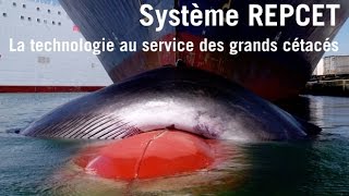 REPCET  la technologie au service des baleines [upl. by Anahsal238]