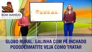 🐔 Globo Rural Galinha com pé inchadopododermatite VEJA COMO TRATAR [upl. by Aramac32]