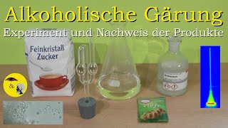 Alkoholische Gärung  Experiment und Nachweis der Produkte [upl. by Odnumyer179]