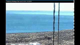 Carnary islands EL Hierro  La Restinga Volcano webcam Scanning 250112 [upl. by Draude]