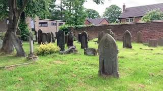 Graveyard and Ragwort Lore Summer Vlog [upl. by Aehcim947]