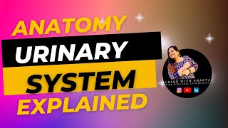 URINARY SYSTEMANATOMYPHYSIOLOGYMEDICALCODINGLEARNWITHDHANYA [upl. by Marcello78]