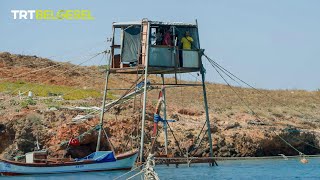 Dalyan Balıkçılığı [upl. by Cate103]