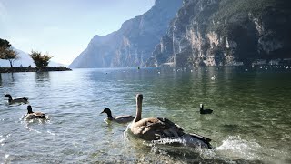 Family trip to Italy Riva del Garda  Garda Trentino half marathon 2024 [upl. by Anigar]