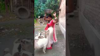 Parene bich Dilshortvideo shortviral ytshorts familygroup [upl. by Pansie]