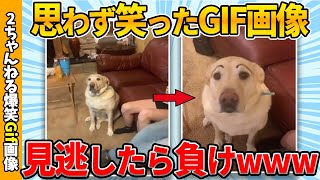 【おもしろgif総集編】思わず吹いた爆笑gif画像集ww 【コメ付き】【ゆっくり解説】【2chスレ】【5ch】 [upl. by Meisel]