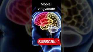 Moolai vingyanam marcopolo  kadhabharatham  peridhinum peridhu kel  tamil audio shorts [upl. by Yebba160]