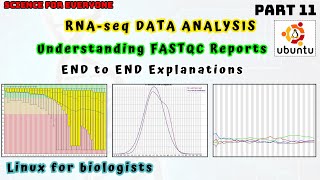 Understanding the concepts behind FASTQC reports  Complete Explanation [upl. by Kym]