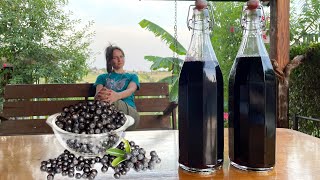 Refreshing Aronia Berry Chokeberry Antioxidant Syrup [upl. by Cybill]