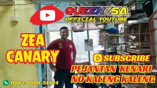 RUANGAN SEMPIT HASIL BERLIPIT LIPIT ZEA CANARY [upl. by Faux713]