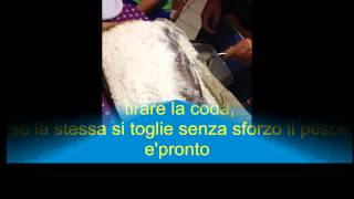 DENTICE AL SALE RICETTA PER 6 PERSONE [upl. by Koorb]