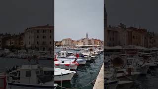 Boats at waterfront Rovinj Croatia TravelwithHugoF travelshorts croatia marina [upl. by Eimma]