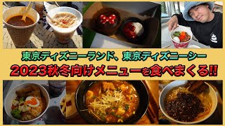 東京ディズニーランドと東京ディズニーシーのアツアツのメニューを食べまくろう！ [upl. by Way]