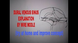 Venous sinuses of dura mater in 20 min on tips  TCML [upl. by Retsila]