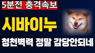 시바이누 5분전 충격속보 정말 이거 청천벽력 같은 소식이네 이거 정말 감당 안됩니다 시바이누 shib 시바이누심훈 스테이블코인 [upl. by Westberg198]