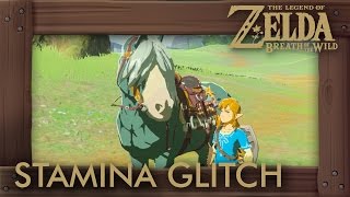 Zelda Breath of the Wild  Infinite Horse Stamina GlitchExploit [upl. by Jerroll648]