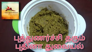 புத்துணர்ச்சி தரும் புதினா துவையல்  Pudina Thuvaiyal recipe in Tamil  Mint Chutney recipe [upl. by Ailet160]