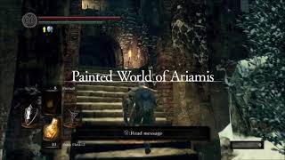 Dark Souls Remastered Xanthous Armor Set Location [upl. by Llerihs]