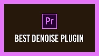 The BEST denoise plugin for video  Adobe  Neat Video  Crash Course [upl. by Floro]