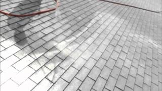 RoofACide® Better than Roof Cleaning [upl. by Eitisahc]