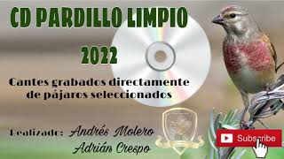 📀1º CD PARDILLO LIMPIO 2022 CANTES DIRECTAMENTE GRABADOS 🔝🐦 chant silvestrismo linnote [upl. by Galanti]