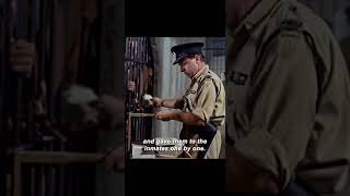 The best prison escape team in jail movie film trailer shorts clips [upl. by Asil]