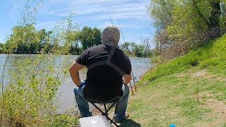 Relaxing Day River Bait and Wait Fishing Striped Bass Sacramento River [upl. by Admama]