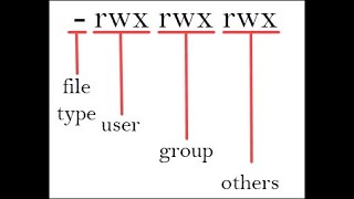 How to use the chmod and chown command [upl. by Ainoda]