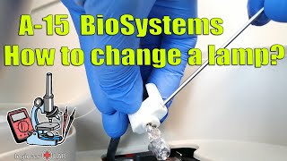 Change the lamp А15 BioSystems [upl. by Naujaj161]