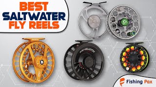 Best Saltwater Fly Reels Budget amp HighEnd Models Compared [upl. by Ynnhoj]