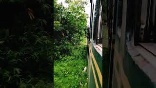 train trainline traintravel railway trainjourney travel nature weather shorts viralshort [upl. by Anwahsar100]