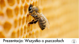 Prezentacja Wszystko o pszczołach dla dzieci uczniów Film edukacyjny [upl. by Guyer]