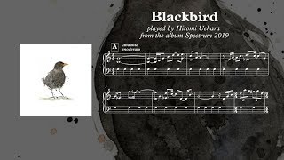 Blackbird  Hiromi Uehara  Piano Transcription [upl. by Canotas387]