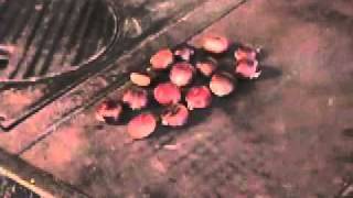 New chestnut peeling method 2mov [upl. by Sperling]