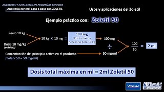 CÁLCULO DE DOSIS CON ZOLETIL [upl. by Mauer489]