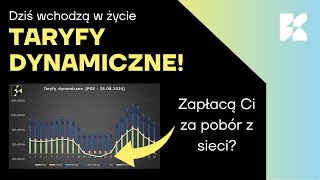 Taryfy dynamiczne wchodzą dziś w życie Ujemne ceny też w zakupie [upl. by Ressler]