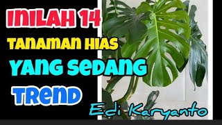 22 Tanaman Yang Selalu Berbunga Tanpa Jeda Sepanjang Masa  Continued Flowering Plants [upl. by Kcirddor]