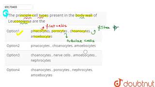 The principle cell types present in the body wall of Leucosolenia are the  12  ANIMALIA I L [upl. by Naujaj884]